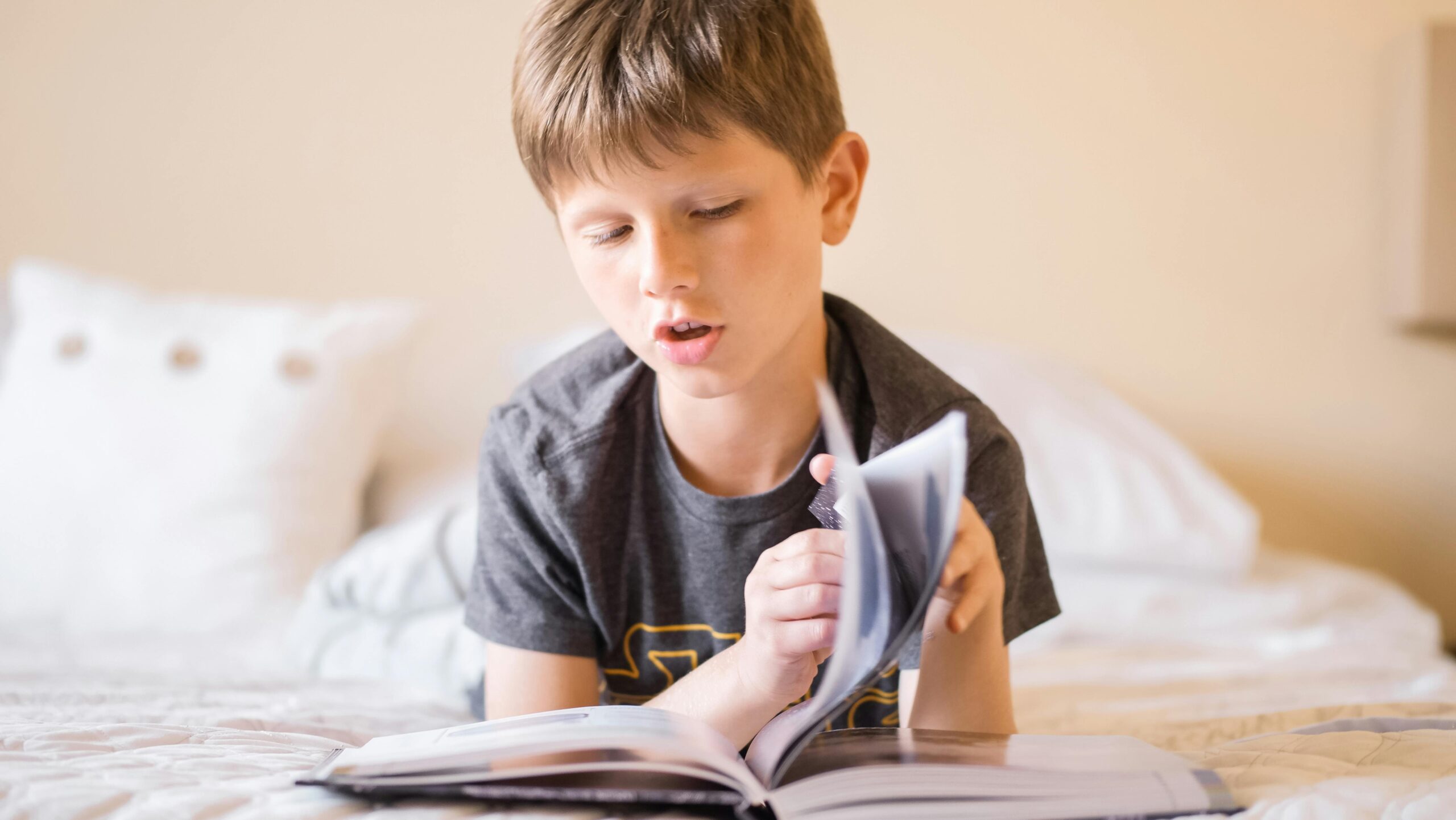 Young boy reading a book